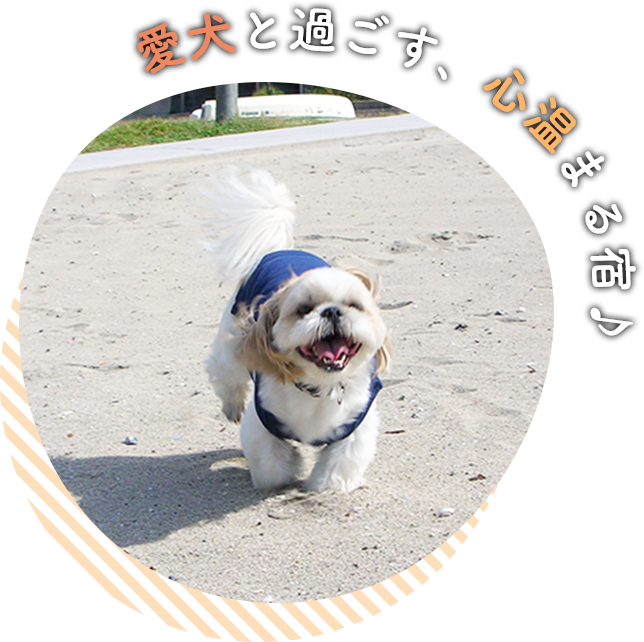 愛犬と過ごす、心温まる宿♪